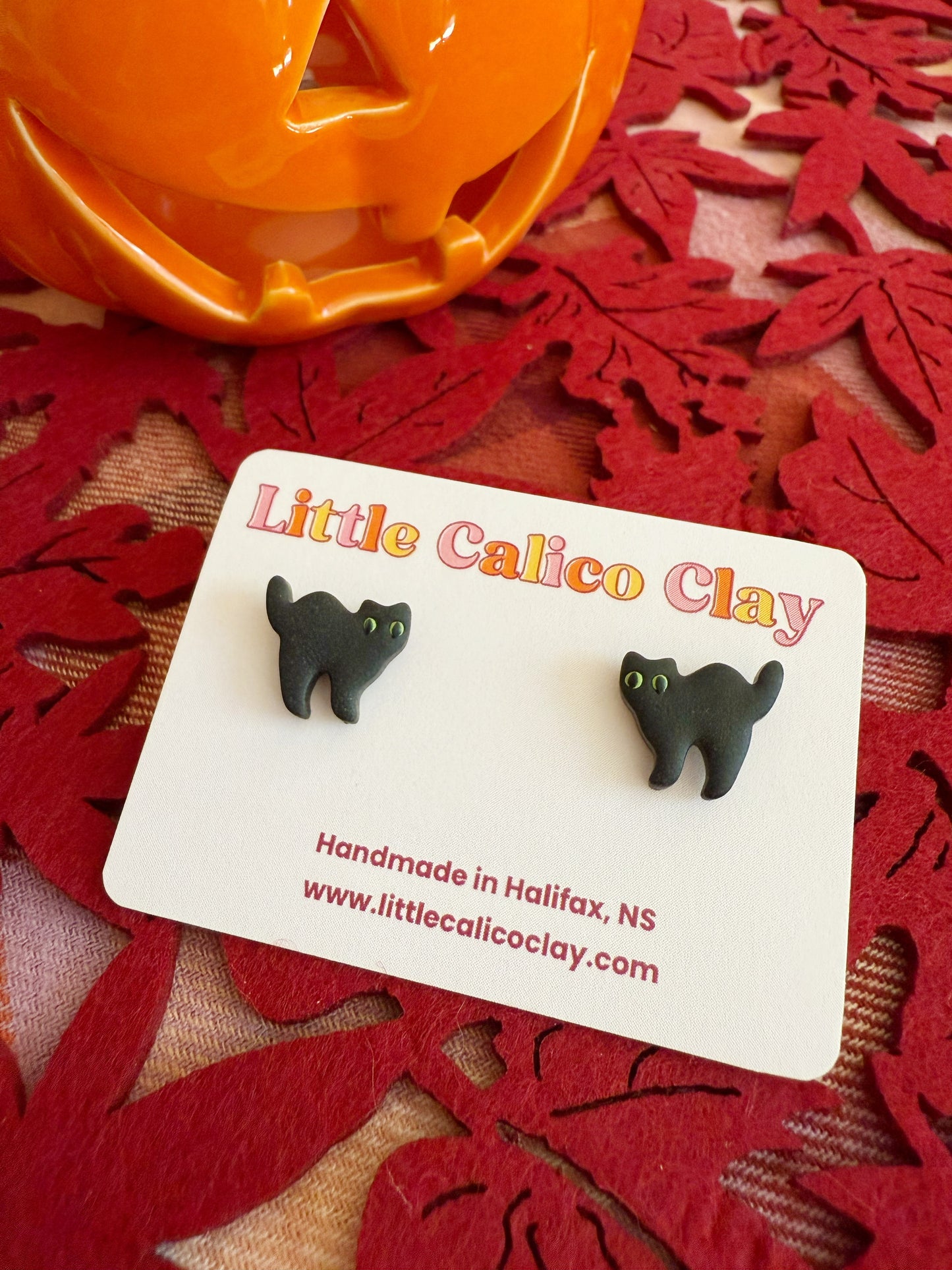 Scaredy Cat Studs