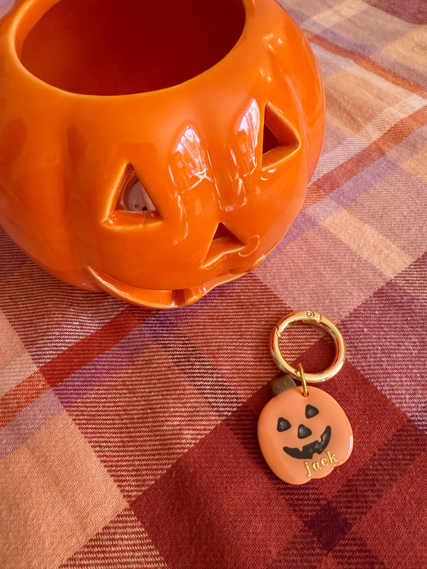 Jack-O-Lantern Pet Tag