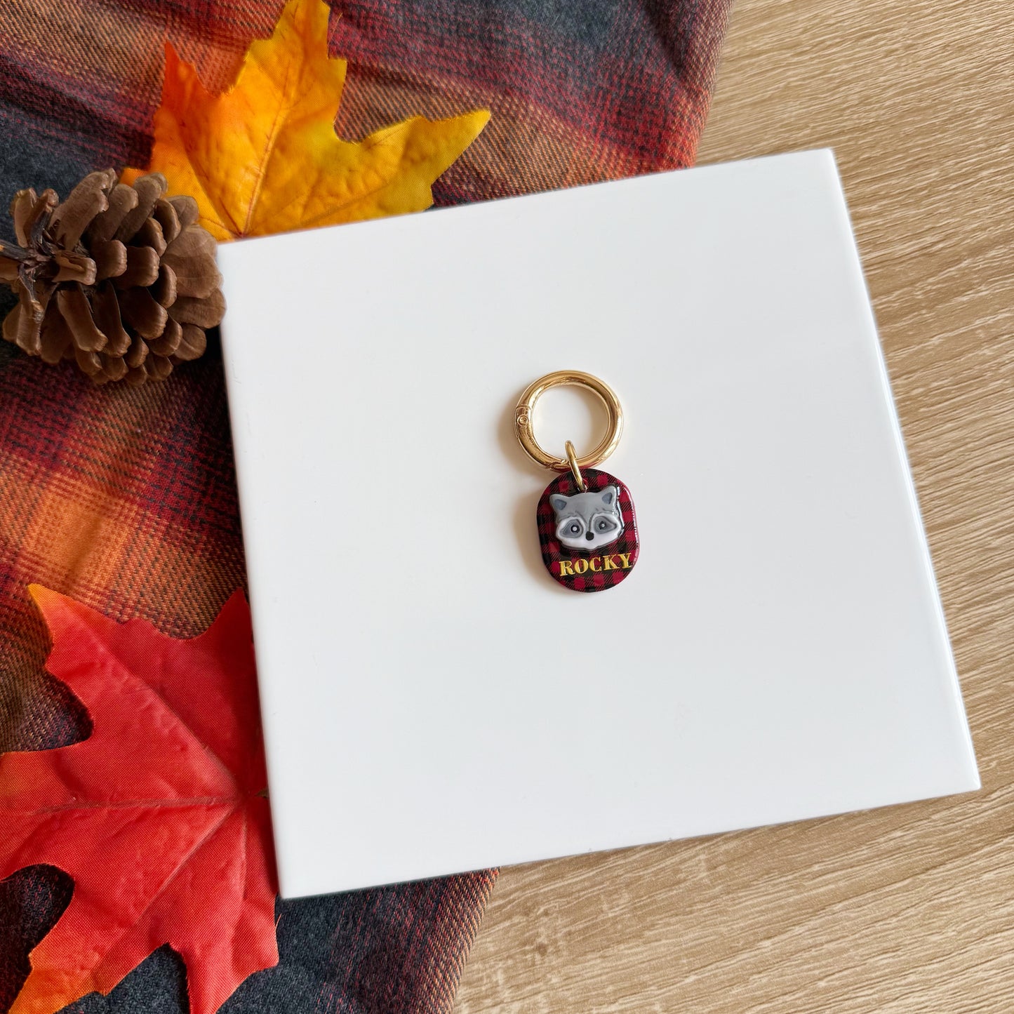 Raccoon Pet Tag