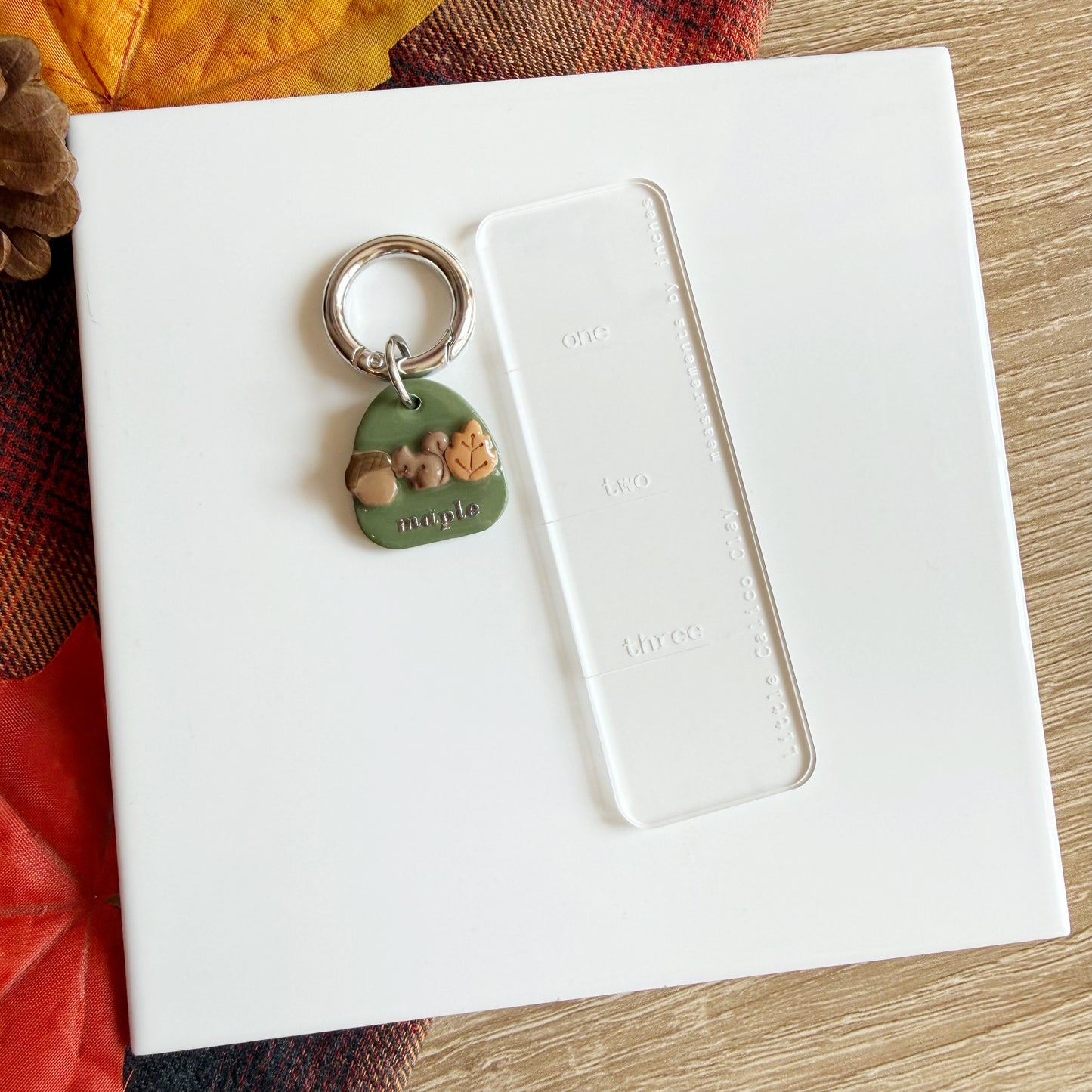 Fall Vibes Pet Tag