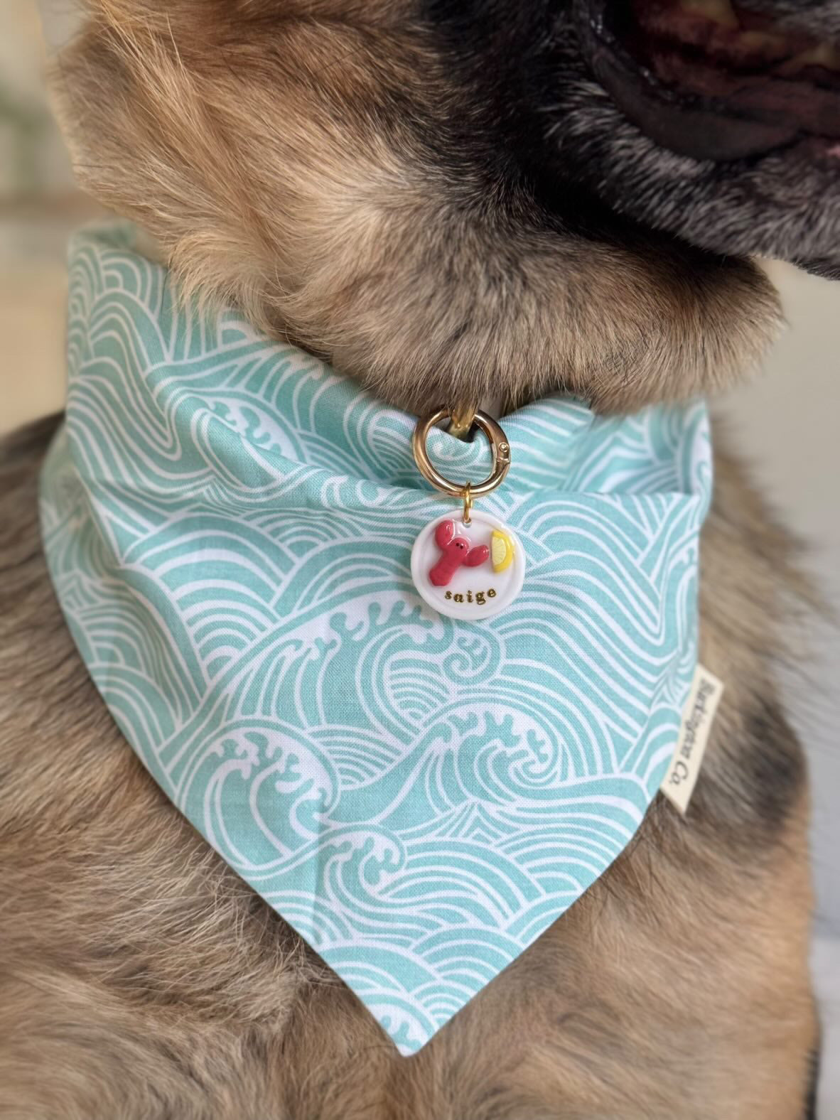 Seafood Supper Pet Tag