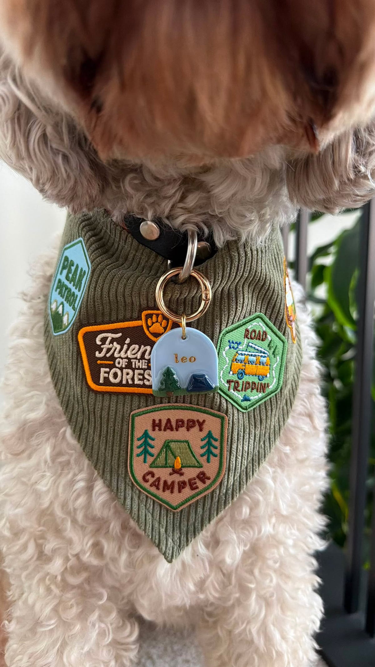 Campsite Pet Tag