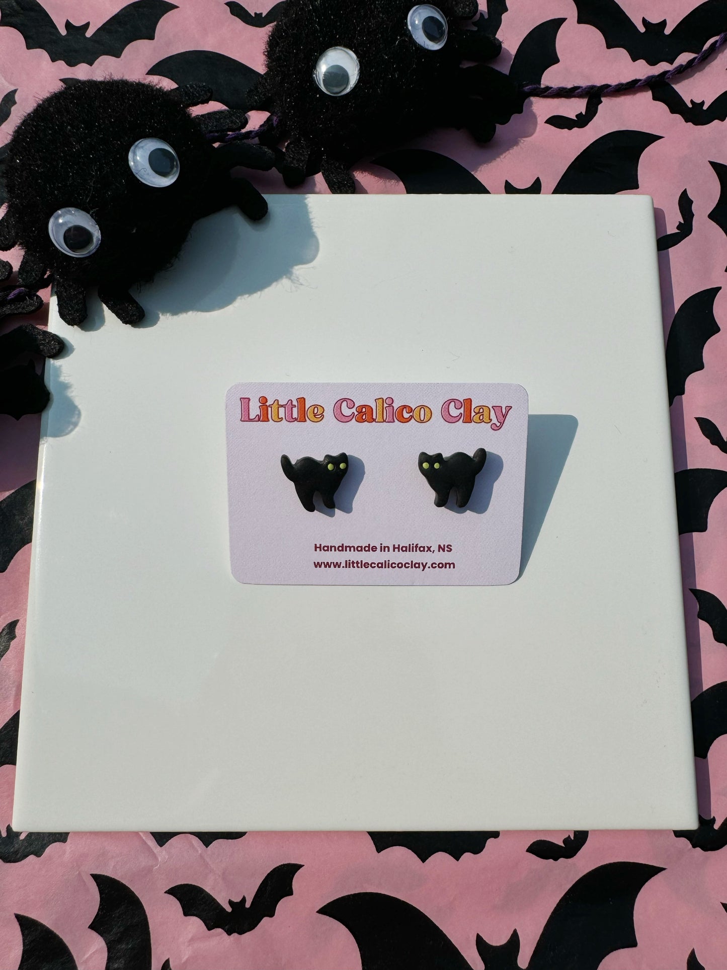 Scaredy Cat Studs