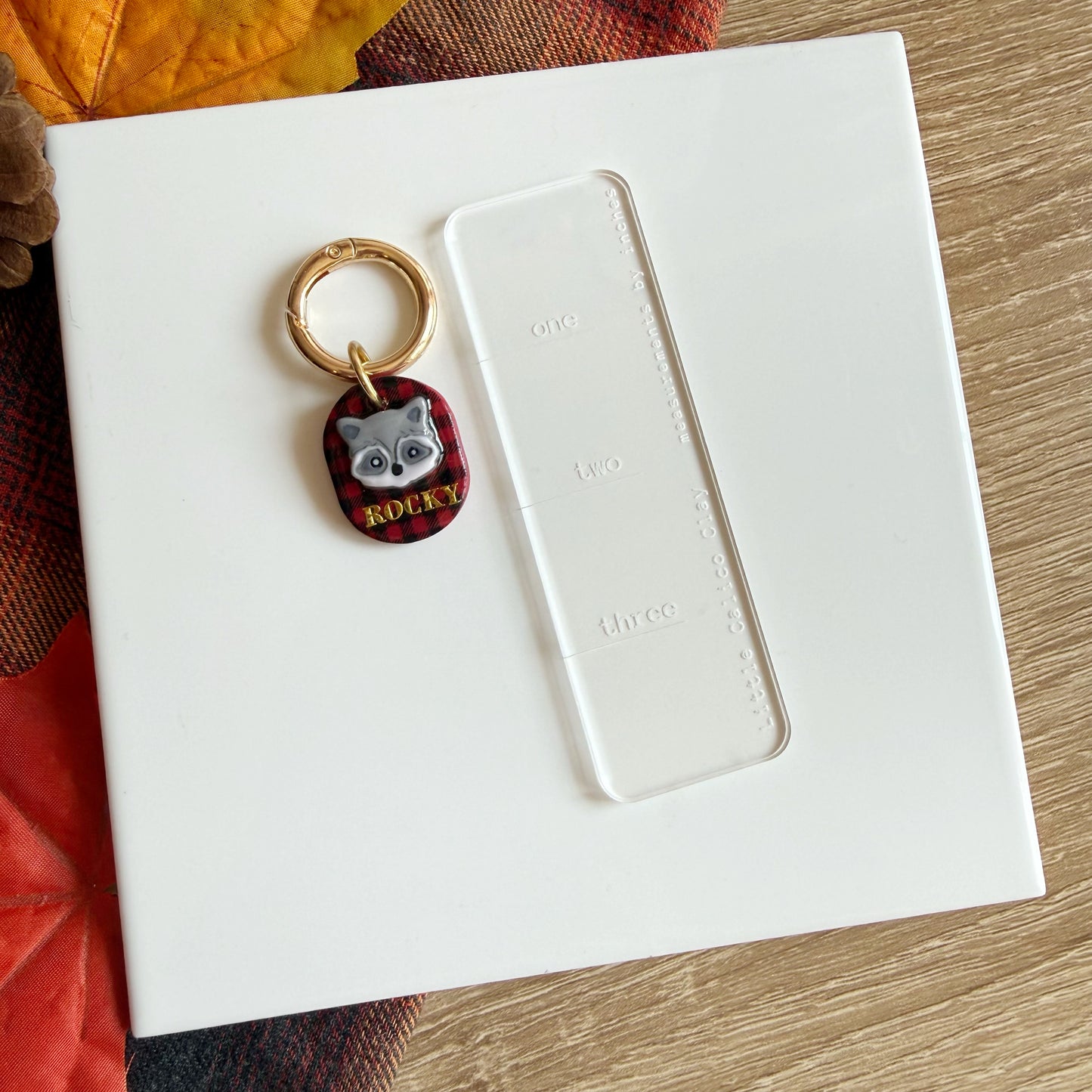 Raccoon Pet Tag
