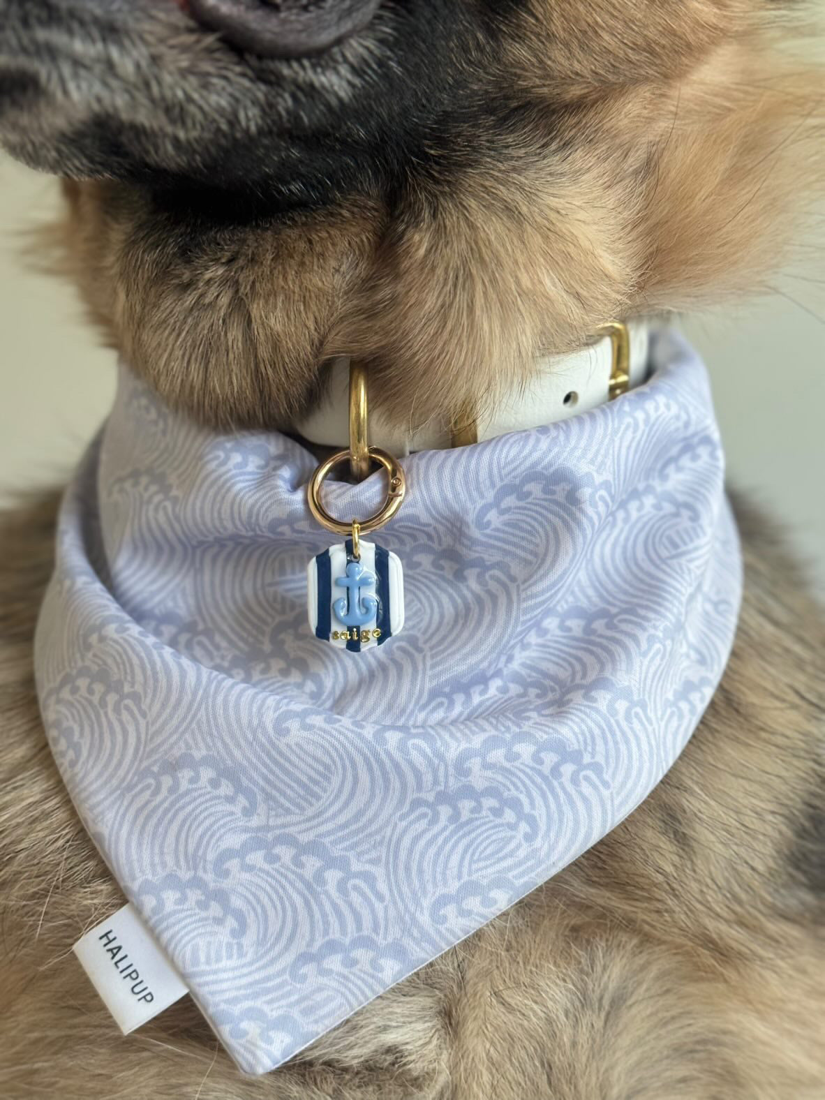 Anchor Pet Tag