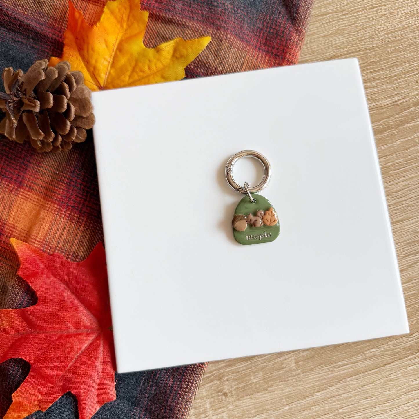 Fall Vibes Pet Tag