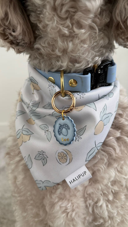 Monochrome Lemon Pet Tag