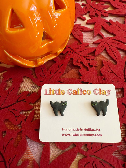 Scaredy Cat Studs