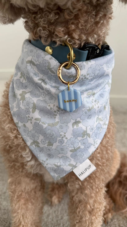 Striped Hexagon Pet Tag