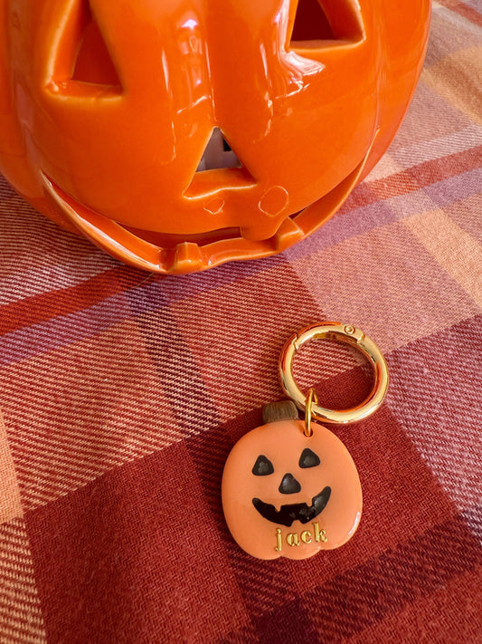 Jack-O-Lantern Pet Tag