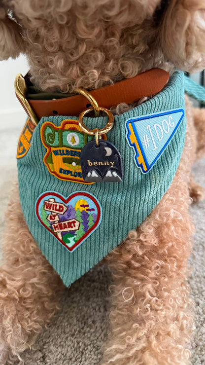 Mountain Moonlight Pet Tag