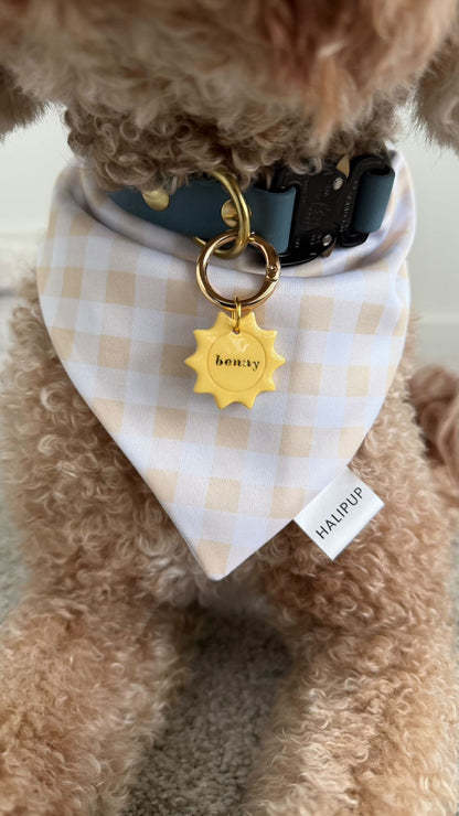 Sunshine Pet Tag