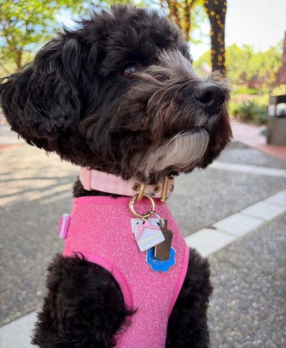 Coquette Bow Arch Pet Tag