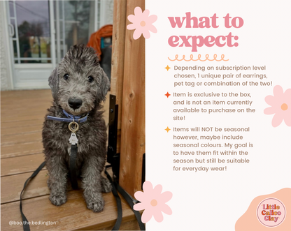 CALICO CLUB - Monthly Mystery Pet Tag