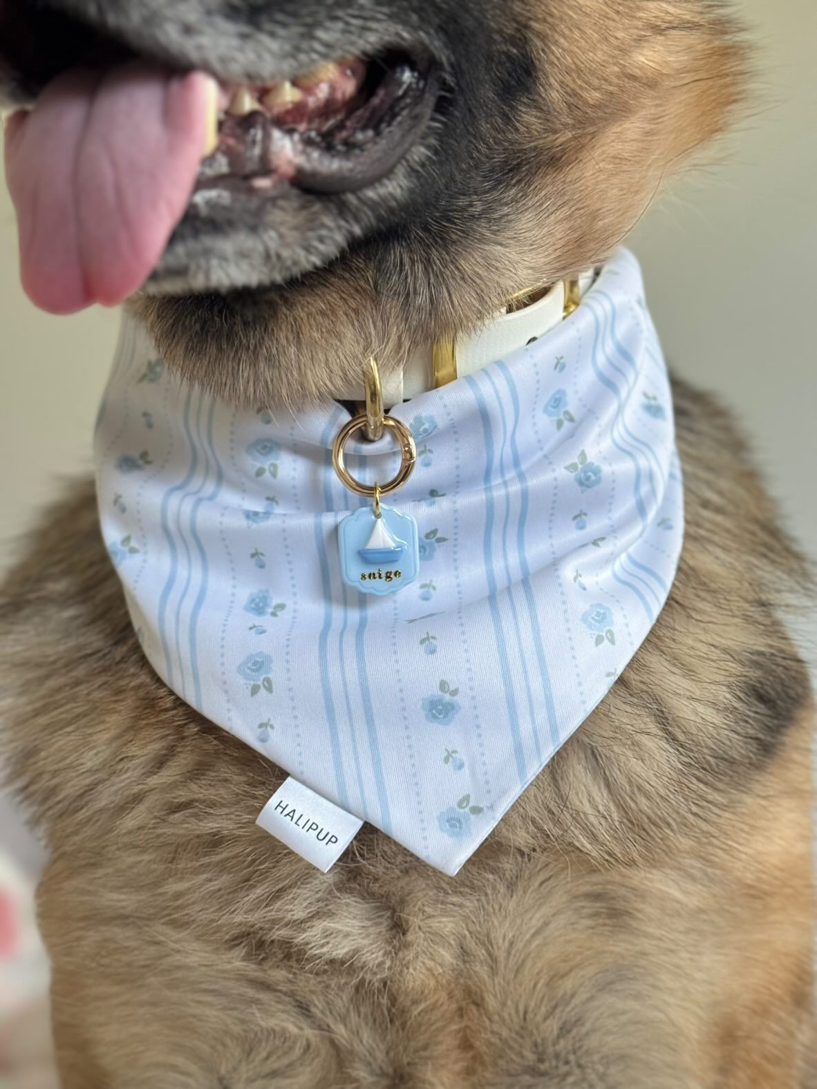 Sailboat Pet Tag