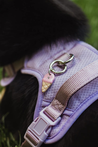 Ice Cream Cone Pet Tag